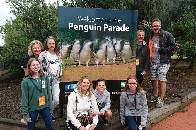 Phillip Island Medium Size Group Tour - Price and Value for a Melbourne to Phillip Island Day