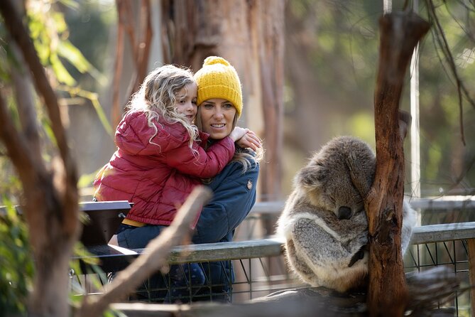 Phillip Island Penguin and Koala Highlights Day-Trip from Melbourne - Koala Conservation Reserve: 45 Minutes on Elevated Boardwalks