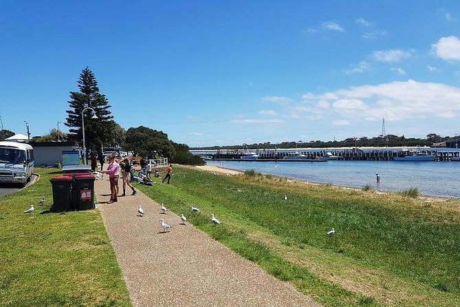 Phillip Island Penguin and wildlife Tour - Price and value: what you are really paying for at $159.23