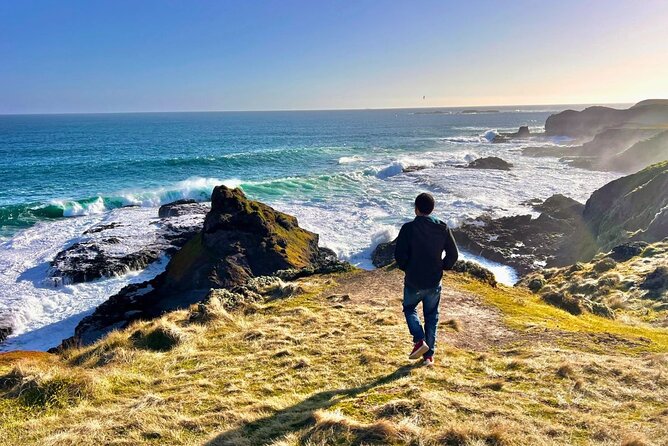 Phillip Island & Penguin Parade Afternoon Eco Tour from Melbourne - Key Things You’ll Remember From This Tour