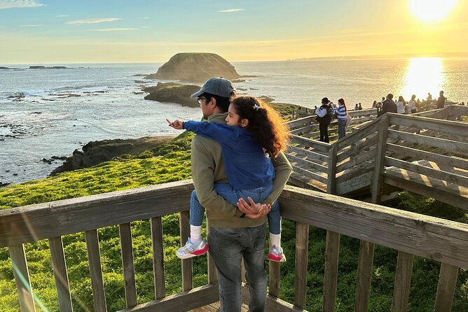 Phillip Island & Penguin Parade Afternoon Eco Tour from Melbourne - Price and Value: What $111.17 Buys You