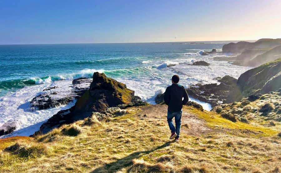 Phillip Island Penguin Parade Afternoon Tour from Melbourne - Getting out of Melbourne smoothly: pickup, minibus comfort, and your first views