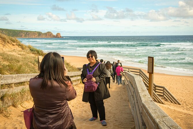 Phillip Island Penguin Parade Express Tour from Melbourne - Key points before you go