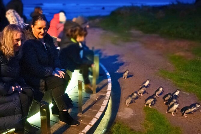 Phillip Island Penguin Parade Express Tour from Melbourne - Why the Nobbies and Penguin Parade in one day makes sense