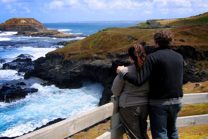 Phillip Island Penguin Parade Express Tour from Melbourne - The guide and the small-group factor that makes it feel smoother