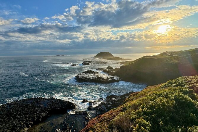 Phillip Island Penguin Parade Express Tour from Melbourne - What to pack for a penguin night, plus what to leave behind