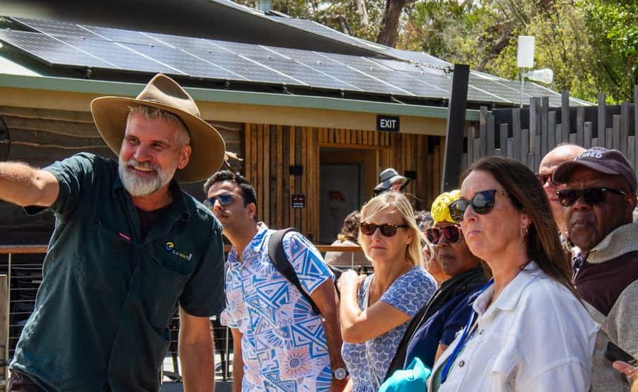 Phillip Island Penguin Parade with Expert Local Guide - What You Pay For: Value Beyond the Penguin Parade Ticket