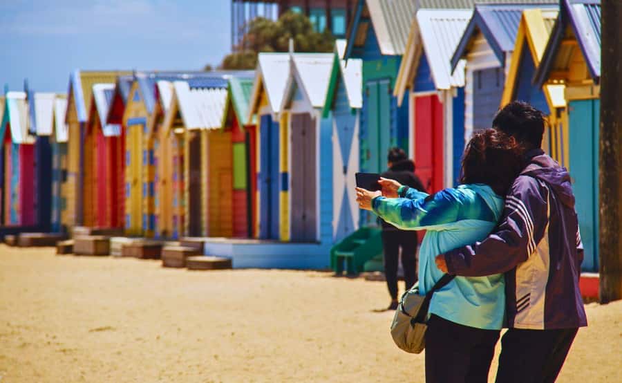 Phillip Island Penguin Parade with Expert Local Guide - Moonlit Sanctuary: Where Koalas, Kangaroos, and Wallabies Feel Up Close