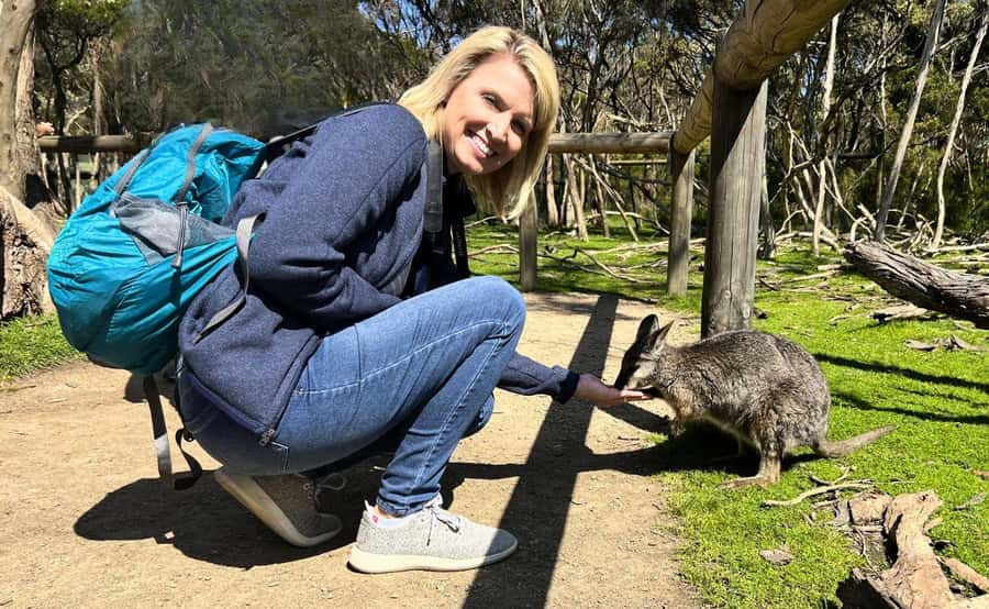 Phillip Island Penguin Parade with Expert Local Guide - Getting Good Penguin Views, and Why the Guide Matters