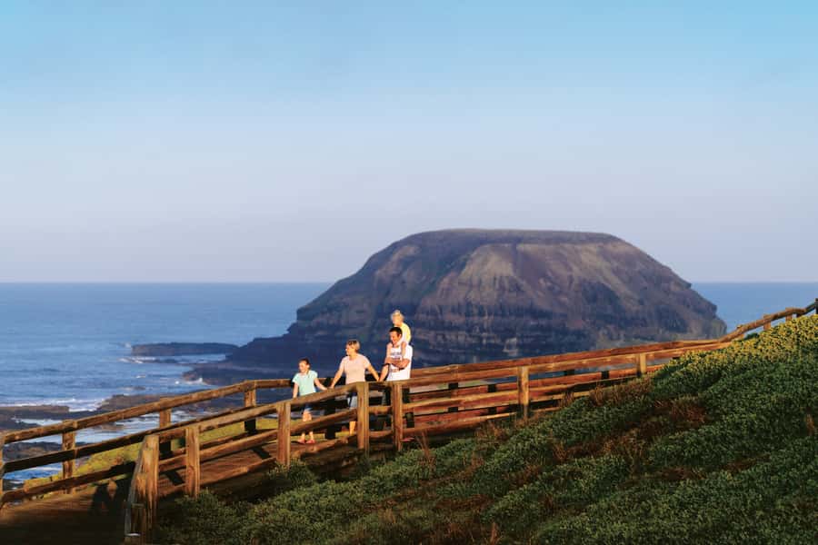Phillip Island: Penguins and Wildlife Full-Day Tour - Key things I’d plan around before you go