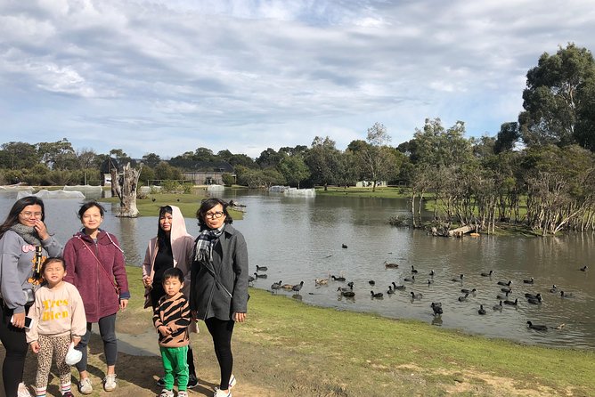 Phillip Island Penguins Private Adventure - The Penguin Parade: reserved seating and why it matters