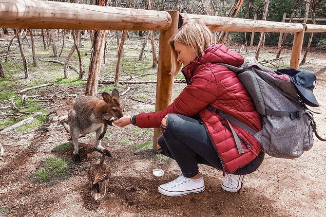 Phillip Island Penguins & Wildlife Day Tour from Melbourne - From Melbourne pickup to the first wildlife stop