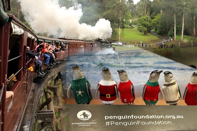 Phillip Island Penguins & Wildlife Day Tour from Melbourne - How the pacing works (and why it can feel long)