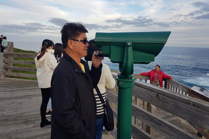Phillip Island Private Experience - Why Phillip Island Works So Well as a Private Day Trip