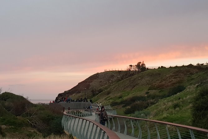 Phillip Island Private Experience - Koala Conservation Centre: The Treetops View You’ll Remember