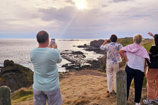 Phillip Island Wildlife Cruise and Penguin Tour from Melbourne - Wildlife Coast cruise option: worth it, but not a guarantee