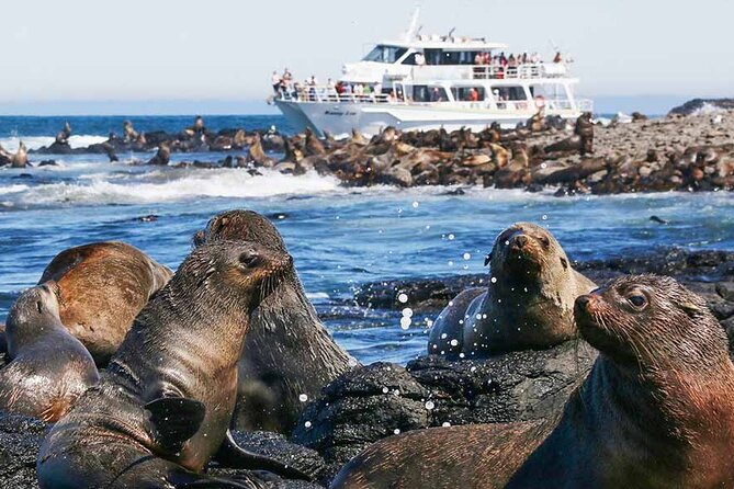 Phillip Island Wildlife Cruise and Penguin Tour from Melbourne - Optional Koala Conservation Reserve: swap time, choose the animal you want