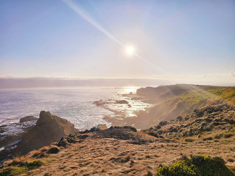 Phillip Island: Wine, Wildlife & Penguins with Gourmet Feast - What you’re actually paying for: value of the whole package