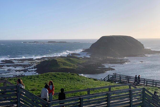 Premium Small Group Philip Island eco Tour - Penguin Parade at sunset: the core event of the day