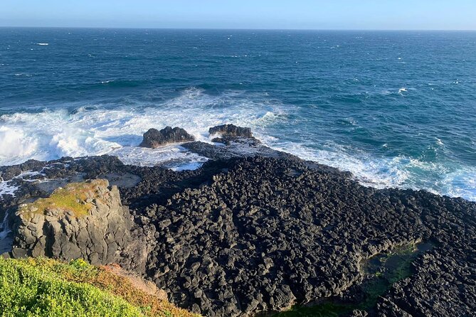 Premium Small Group Philip Island eco Tour - Price and value for a 10 to 11 hour wildlife day