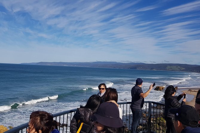Private and Customised Great Ocean Road and Luxury Tour - Mait’s Rest rainforest walk and the koala-chance moment