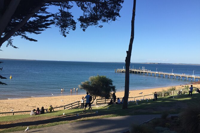 Private custom Penguin Tour with Premium Penguin Tickets - From Melbourne to Phillip Island: the timing that makes the difference