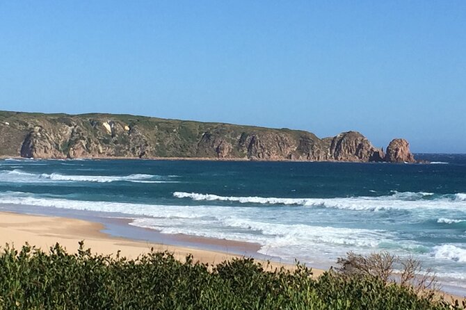Private custom Tour of Phillip Island With Penguin Parade - Who this private Penguin Parade tour is best for