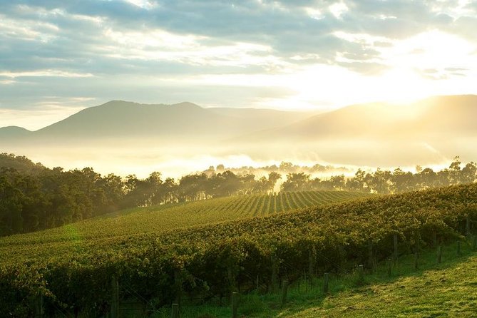 Private Great Ocean Road and Twelve Apostles Tour from Melbourne - Lorne and Apollo Bay: seaside towns that break up the drive