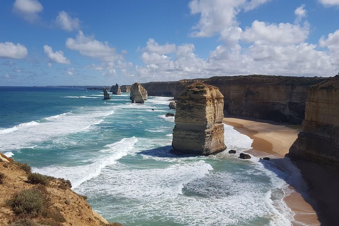 Private Great Ocean Road Day Trip from Melbourne - Kennett River for Koalas: Wildlife Time That Takes Patience