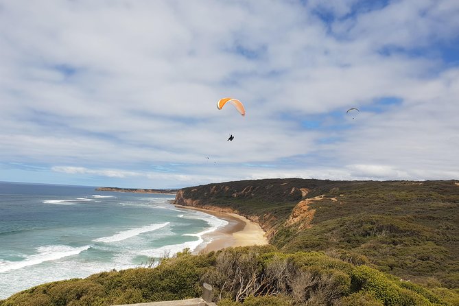 Private Great Ocean Road Day Trip from Melbourne - Apollo Bay Lunch: Seafood Lunch Is Optional, but You Can Make It Easy