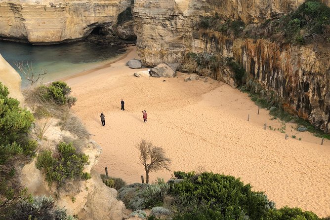Private Great Ocean Road Local Experience - Why this private Great Ocean Road route feels easier than car hire