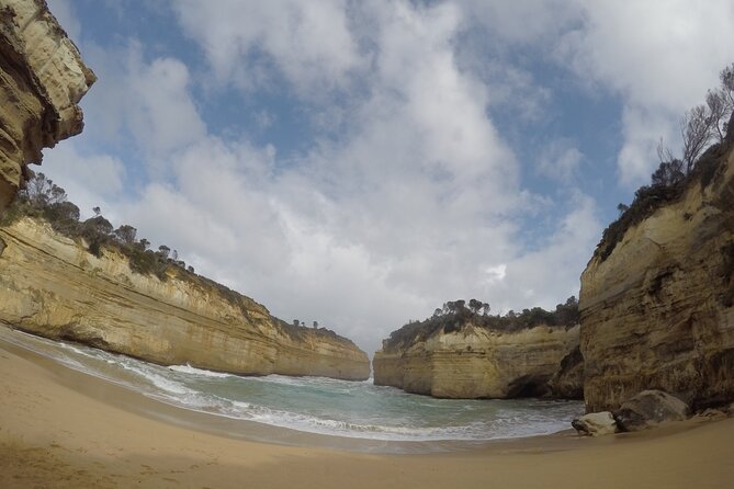 Private Great Ocean Road Local Experience - Melba Gully National Park: the rainforest walk you might not expect