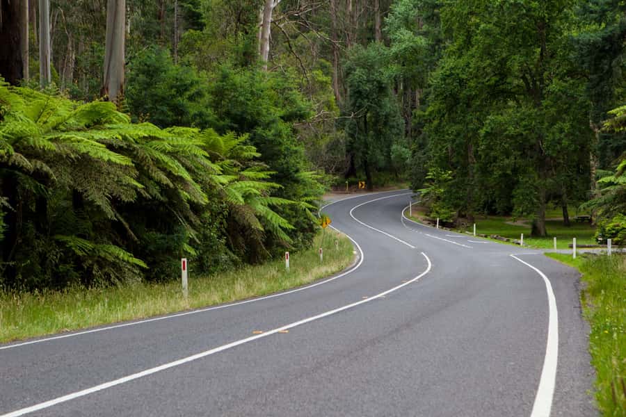 Private Great Ocean Road Tour - Price and what you get for $778 in a private setup
