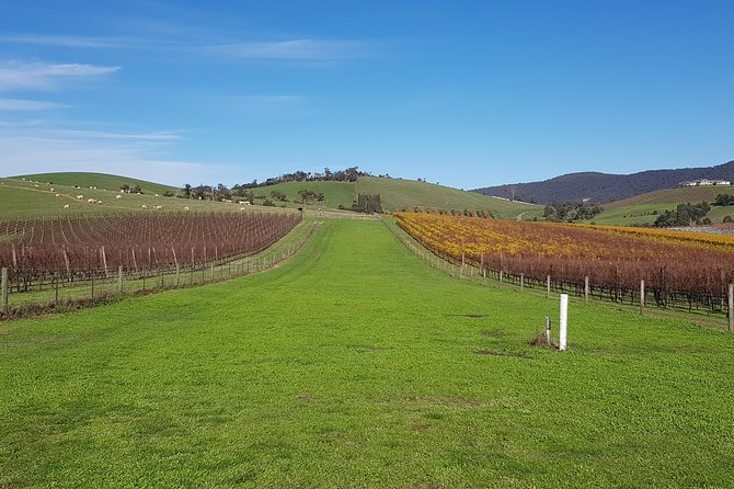 Private, Luxury and Tailored Yarra Valley Wine Tour - Key things I’d plan around