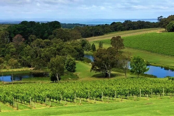 Private Mornington Wine Tour Small Group - Stop 6: Pt. Leo Estate and the Bonus of Western Port Bay Views