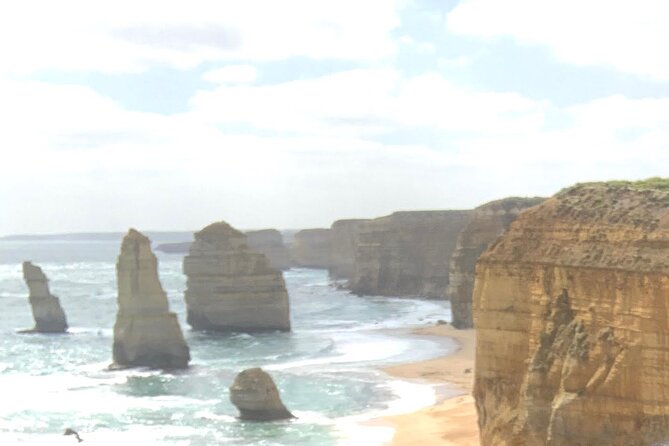 Private Small Group Tour of 2-7pax in Great Ocean Road Melbourne - Private small group Great Ocean Road, what makes it feel different