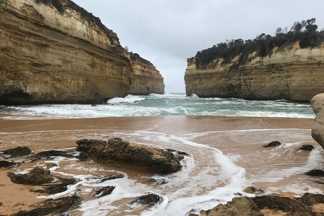 [PRIVATE TOUR] 12 Apostles | Great Ocean Road | Day Trip - Mait’s Rest rainforest walk: 90m eucalyptus and fern umbrellas