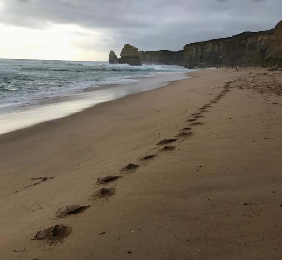 Private Tour: Great Ocean Road - Twelve Apostles - Price and value for a group of up to six