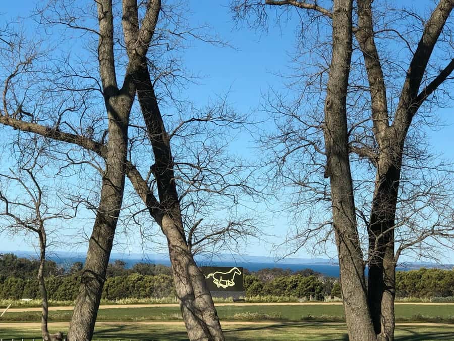 Private Tour: Mornington Peninsula Wine, Beer & Hotsprings - Mornington Peninsula in a Single 9-Hour Rhythm