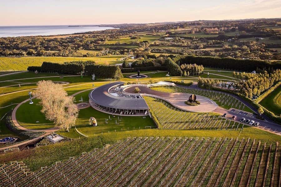 Private Tour: Mornington Peninsula Wine, Beer & Hotsprings - Red Hill Brewery and Point Leo Estate: Wine Meets Beer Without the Confusion