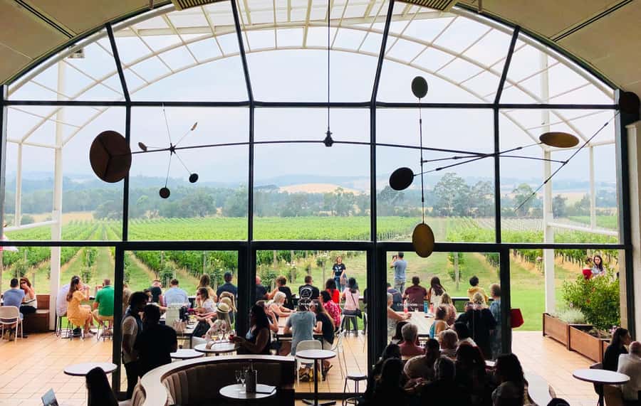 Private Tour: Yarra Valley Wine, Cheese, Gin & Chocolatrie - Price and Value: $530 for Up to 6 People, Plus What You Should Budget