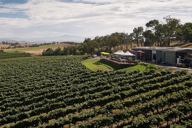 Private Tour: Yarra Valley Wineries with Wine Tastings - The Wine Stops: 4 Tastings With Room for Questions
