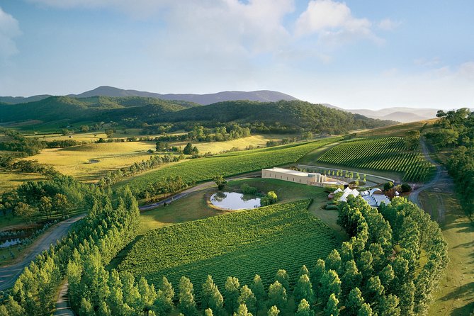 [PRIVATE TOUR] Yarra Valley Winery | Day Tour - Domaine Chandon: how to taste sparkling like you mean it