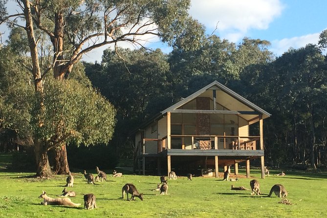 [PRIVATE TOUR] Yarra Valley Winery | Day Tour - Soumah and Yarra Yering: using contrast to find your favorite style