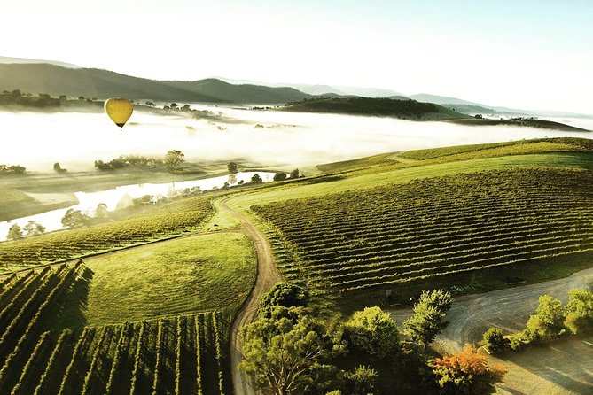 [PRIVATE TOUR] Yarra Valley Winery | Day Tour - Transport, timing, and pacing: how to avoid the common tasting-day mistakes