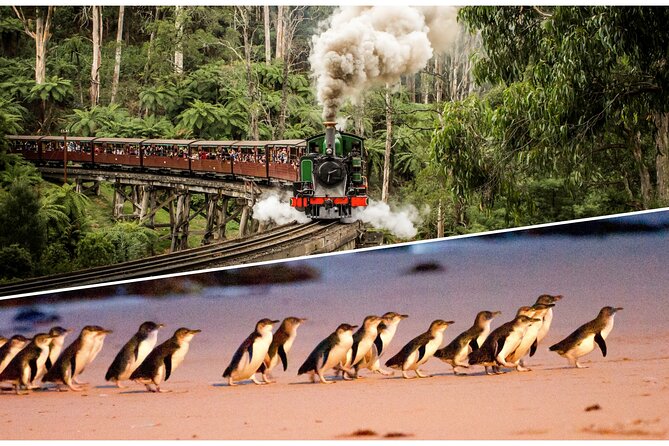 Puffing Billy and Penguin Parade Day Tour From Melbourne - The Nobbies boardwalk and blowholes, views that are worth the 45 minutes