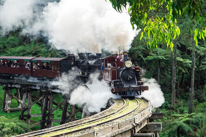 Puffing Billy And Phillip Island Penguin Parade Bus Tour - Key things to know before you go