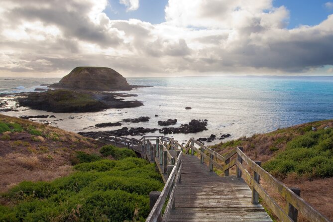 Puffing Billy And Phillip Island Penguin Parade Bus Tour - Stop 4 at Phillip Island Penguin Parade: what the viewing night really feels like