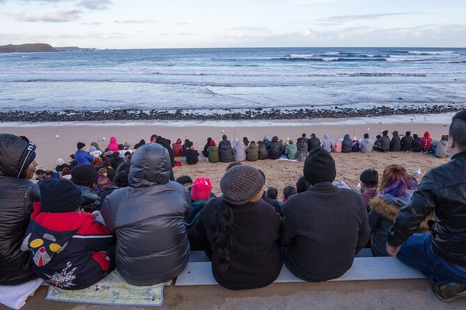 Puffing Billy And Phillip Island Penguin Parade Bus Tour - How the 11-hour schedule plays out, including late returns