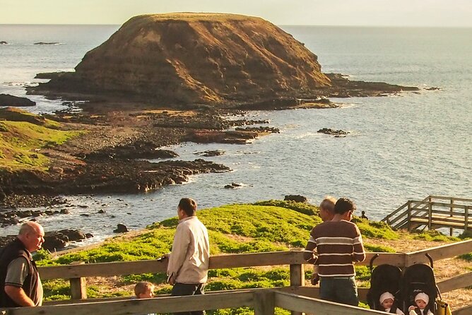 Puffing Billy And Phillip Island Penguin Parade Bus Tour - Price and value: what you pay for, and what you’ll still need